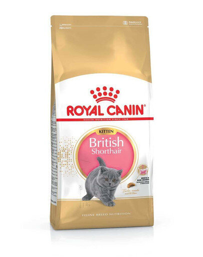 Royal Canin Briti lühikarvalistele kassipoegadele, 2 kg цена и информация | Kassi kuivtoit ja kassikrõbinad | hansapost.ee