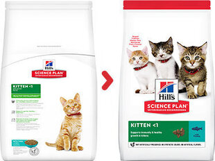 HILLS корм для котят, с тунцом, 300 гр. цена и информация | Сухой корм для кошек | hansapost.ee