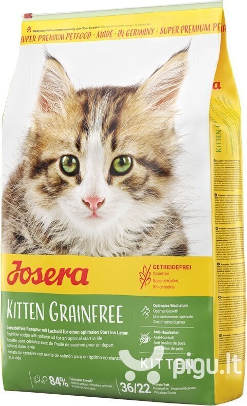 Josera kassipoegade kuivtoit Kitten Grain Free, 2 kg hind ja info | Kassi kuivtoit ja kassikrõbinad | hansapost.ee