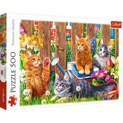 Головоломка Trefl Kittens In The Garden, 500 d. цена и информация | Пазлы | hansapost.ee