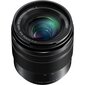 Panasonic LUMIX G Vario 12-60mm f/3.5-5.6 Asph. Power O.I.S (H-FS12060) цена и информация | Fotoaparaatide objektiivid | hansapost.ee