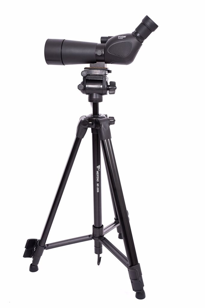 Focus Hawk 20-60X60 + TRIPOD 3950 цена и информация | Binoklid | hansapost.ee