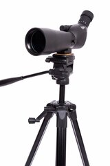 Focus Hawk 20-60X60 + TRIPOD 3950 hind ja info | Binoklid | hansapost.ee