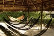 Võrkkiik Amazonas Adventure, roheline/pruun цена и информация | Võrkkiiged | hansapost.ee