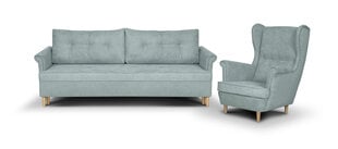 Комплект мягкой мебели Bellezza Elite I, светло-зеленый цена и информация | Комплекты мягкой мебели | hansapost.ee