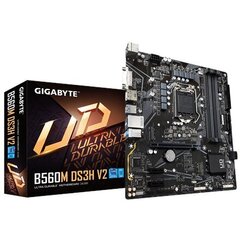 Gigabyte B560M DS3H V2 цена и информация | Материнские платы | hansapost.ee