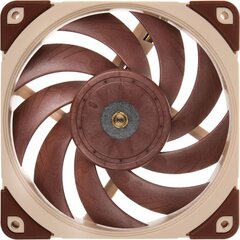 Noctua NF-A12x25 ULN цена и информация | Компьютерные вентиляторы | hansapost.ee