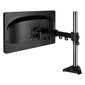 Arctic Z1 Pro Gen 3, 43" hind ja info | Monitori kinnitused | hansapost.ee