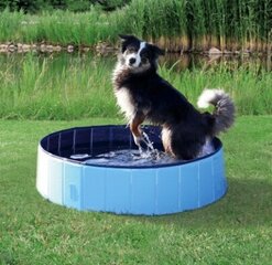 Бассейн для собак Flamingo Doggy Splatter, 80x20 см, синий цена и информация | Бассейны | hansapost.ee