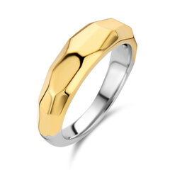 Ti Sento kullatud hõbesõrmus 901023317 price and information | Rings | hansapost.ee