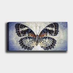 Репродукция на холсте Бабочка, 50x120 см цена и информация | Настенные деревянные декорации | hansapost.ee
