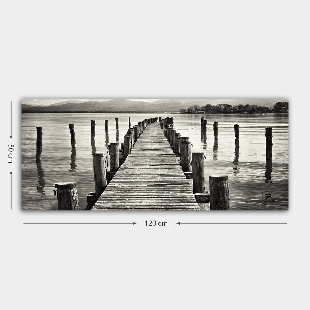 Reproduktsioon lõuendil Järv, 50x120 cm цена и информация | Seinapildid | hansapost.ee