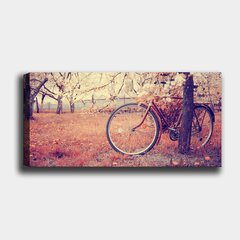 Репродукция на холсте Велосипед, 50x120 см цена и информация | Настенные деревянные декорации | hansapost.ee