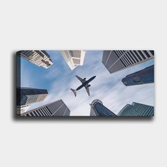 Репродукция на холсте Самолет, 30x80 см цена и информация | Репродукции, картины | hansapost.ee