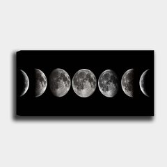 Reproduktsioon lõuendil Kuu, 30x80 cm hind ja info | Seinapildid | hansapost.ee