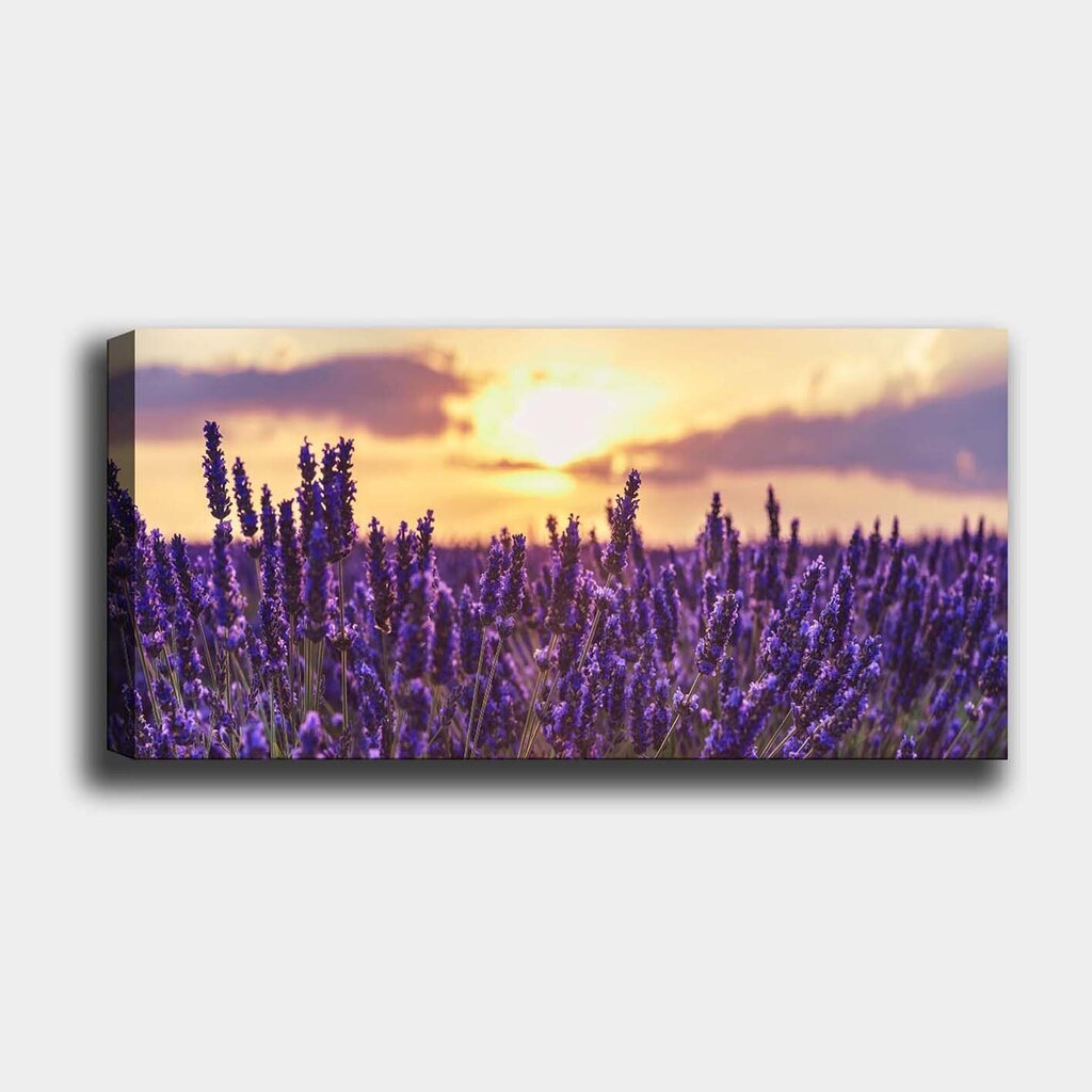 Reproduktsioon lõuendil Lavendel, 30x80 cm цена и информация | Seinapildid | hansapost.ee