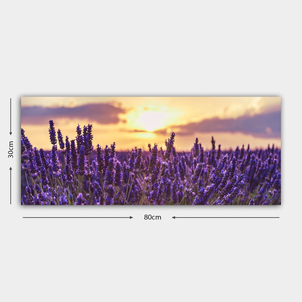 Reproduktsioon lõuendil Lavendel, 30x80 cm цена и информация | Seinapildid | hansapost.ee