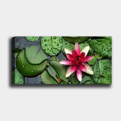 Репродукция на холсте Лилия, 30x80 см цена и информация | Репродукции, картины | hansapost.ee