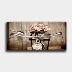 Репродукция на холсте Велосипед, 30x80 см цена и информация | Настенные деревянные декорации | hansapost.ee