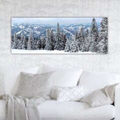 Репродукция на холсте Зима, 30x80 см цена и информация | Настенные деревянные декорации | hansapost.ee