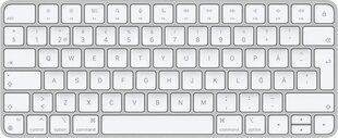 Juhtmevaba klaviatuur Apple Magic Keyboard (SWE) MK2A3S/A цена и информация | Клавиатуры | hansapost.ee