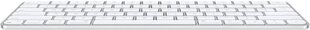 Juhtmevaba klaviatuur Apple Magic Keyboard (SWE) MK2A3S/A hind ja info | Klaviatuurid | hansapost.ee