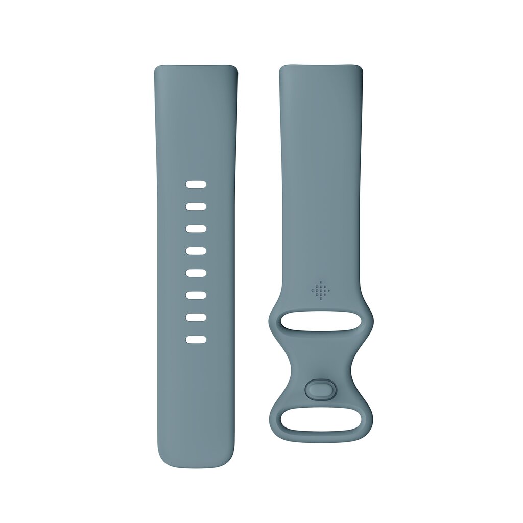 Fitbit Charge 5 Steel Blue/Platinum FB421SRBU цена и информация | Nutivõrud ja aktiivsusmonitorid | hansapost.ee