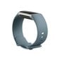 Fitbit Charge 5 Steel Blue/Platinum hind ja info | Nutivõrud ja aktiivsusmonitorid | hansapost.ee