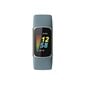 Fitbit Charge 5 Steel Blue/Platinum FB421SRBU hind ja info | Nutivõrud ja aktiivsusmonitorid | hansapost.ee