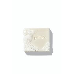 Gallinée lõhnatu prebiootikumidega intiimpesuseep, 100g hind ja info | Seebid | hansapost.ee