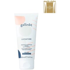 Маска-скраб для лица Gallinee Prebiotic Pleť, 100 мл цена и информация | Маски для лица, патчи для глаз | hansapost.ee