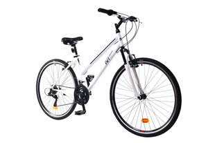 Hübriidratas N1 Cross 1.0 Lady 28", valge hind ja info | Jalgrattad | hansapost.ee