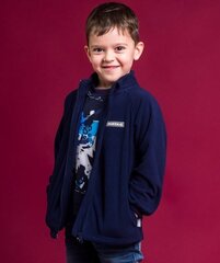 Флисовая кофта HUPPA цена и информация | Куртки для мальчиков | hansapost.ee
