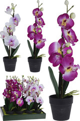 Искусственное растение Орхидея, 38 см цена и информация | Детали интерьера | hansapost.ee