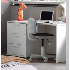 Письменный стол Helga цена и информация | Компьютерные, письменные столы | hansapost.ee
