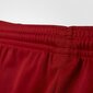 Poiste lühikesed püksid Adidas Parma 16, punane hind ja info | Lühikesed püksid poistele | hansapost.ee