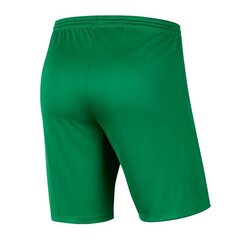 Lühikesed püksid poistele Nike, roheline hind ja info | Nike Riided, jalanõud lastele ja beebidele | hansapost.ee