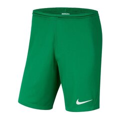 Lühikesed püksid poistele Nike, roheline hind ja info | Nike Riided poistele | hansapost.ee
