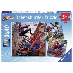 Ravensburger pusle 3x49 tk Spiderman hind ja info | Pusled lastele ja täiskasvanutele | hansapost.ee