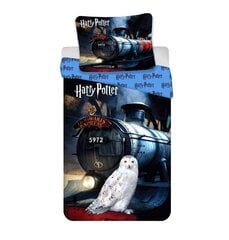 Комплект постельного белья  Harry Potter 111 HP, 140 x 200 см + наволочка 70 x 90 см цена и информация | Комплекты постельного белья | hansapost.ee