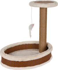 Kraapimispuu kassidele, 40x30x41 cm price and information | Cat climbing trees | hansapost.ee