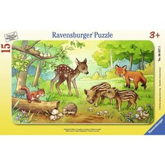 Ravensburger plaatpuzzle 15 tk Metsloomakesed hind ja info | Pusled lastele ja täiskasvanutele | hansapost.ee