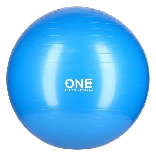 Võimlemispall One Fitness 10, 55 cm цена и информация | Võimlemispallid | hansapost.ee