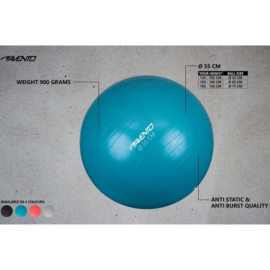 Avento fitness pall 55 cm läbimõõt, hõbedane hind ja info | Võimlemispallid | hansapost.ee