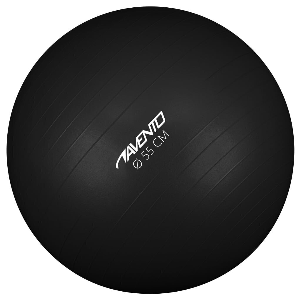 Avento fitness pall 55 cm läbimõõt, hõbedane hind ja info | Võimlemispallid | hansapost.ee