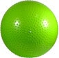 Võimlemispall pumbaga Eb Fit 65 cm, roheline hind ja info | Võimlemispallid | hansapost.ee