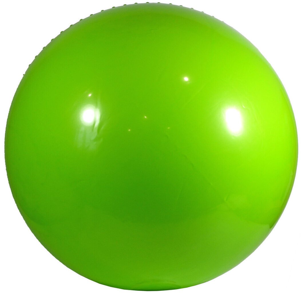 Võimlemispall pumbaga Eb Fit 65 cm, roheline hind ja info | Võimlemispallid | hansapost.ee