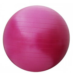 Мяч гимнастический SportVida, 65 см, розовый цена и информация | Гимнастические мячи | hansapost.ee