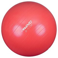 Võimlemispall Avento 75cm, roosa hind ja info | Avento Sporditarbed | hansapost.ee