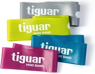 Комплект лент сопротивления Tiguar, 4 шт. цена и информация | Tiguar Спорт, досуг, туризм | hansapost.ee